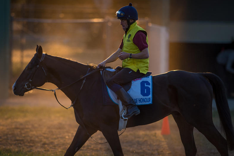 Australian Thoroughbred Bloodstock | 522 Beremboke Rd, Beremboke VIC 3342, Australia | Phone: 1800 616 617