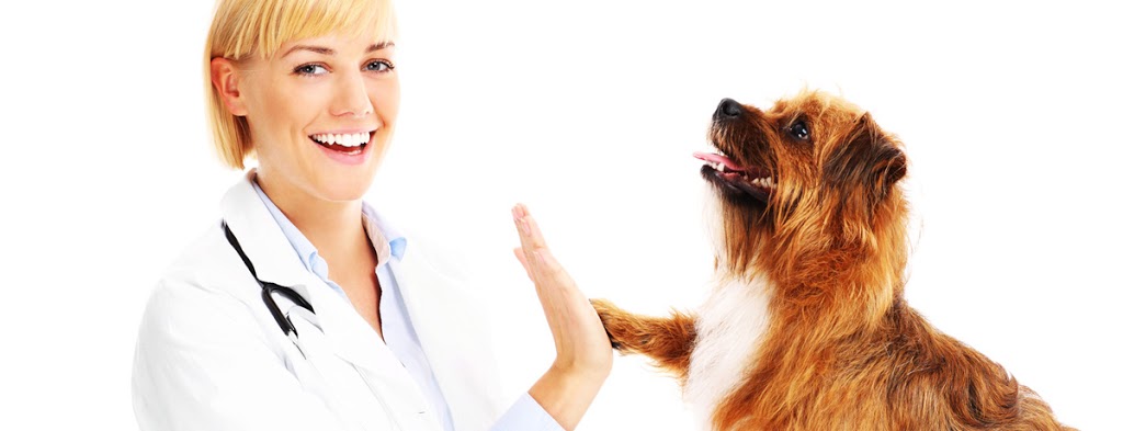 Highlands Veterinary Hospital | 66 Old Hume Hwy, Braemar NSW 2575, Australia | Phone: (02) 4872 1144