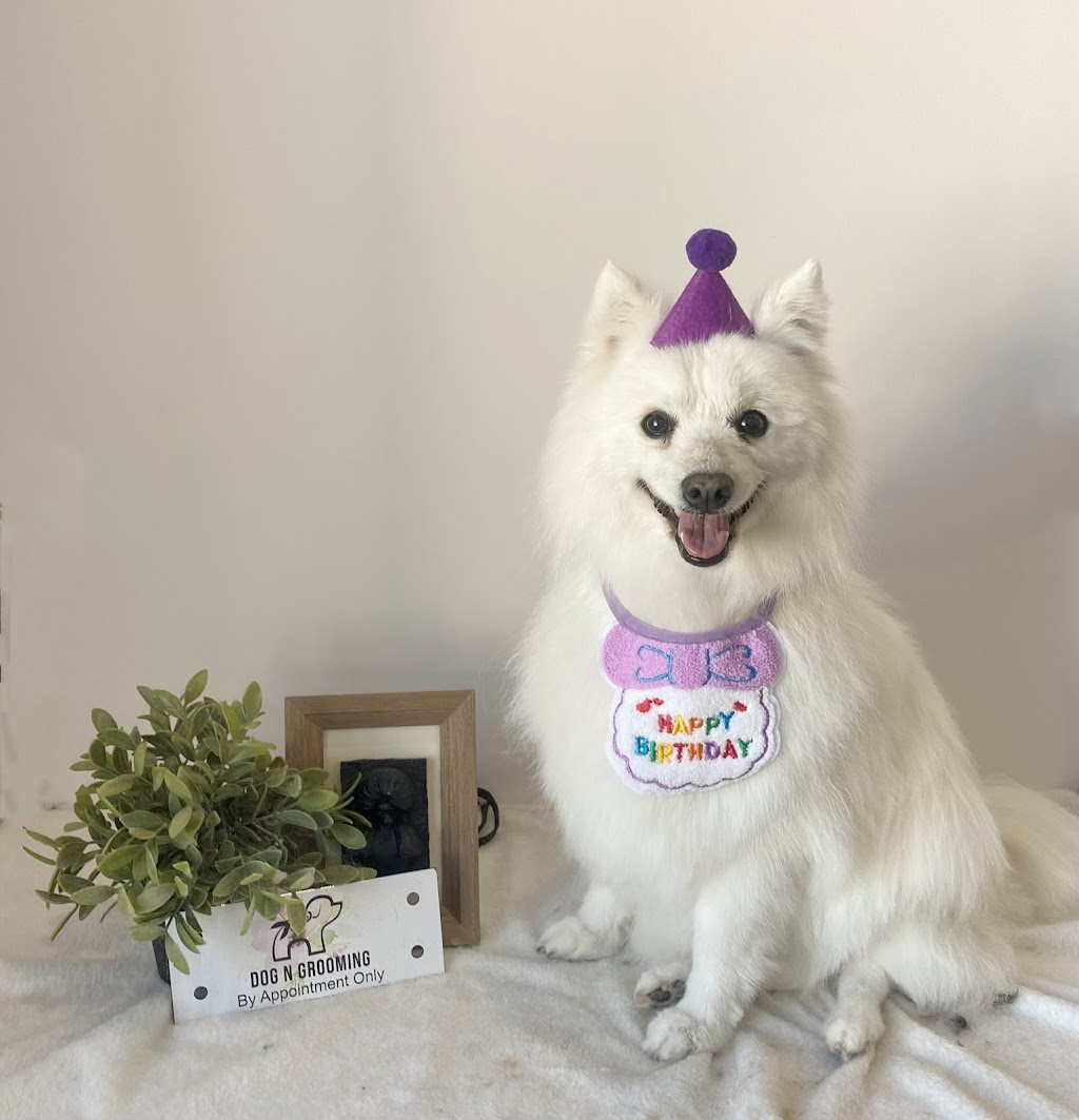 Dog N Grooming | 85 Domain Dr, Batesford VIC 3213, Australia | Phone: 0450 155 603 Dog N Grooming | 85 Domain Dr, Batesford VIC 3213, Australia | Phone: 0450 155 603