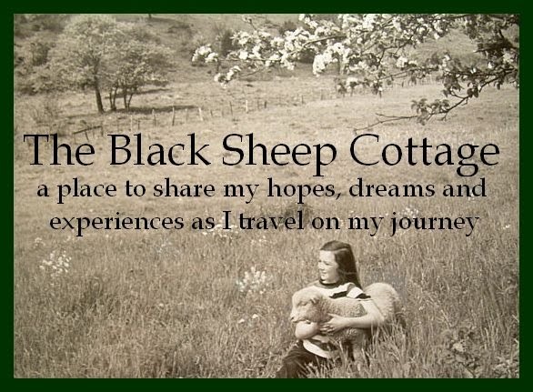 Black Sheep Cottage | 62A Lachlan St, Hay NSW 2711, Australia | Phone: 0428 227 909