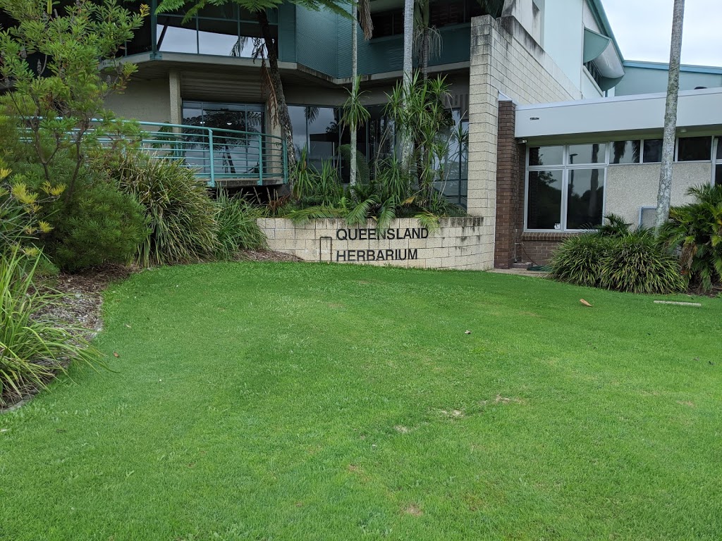 Queensland Herbarium | local government office | Mount Coot-Tha Rd, Toowong QLD 4066, Australia | 0731997699 OR +61 7 3199 7699
