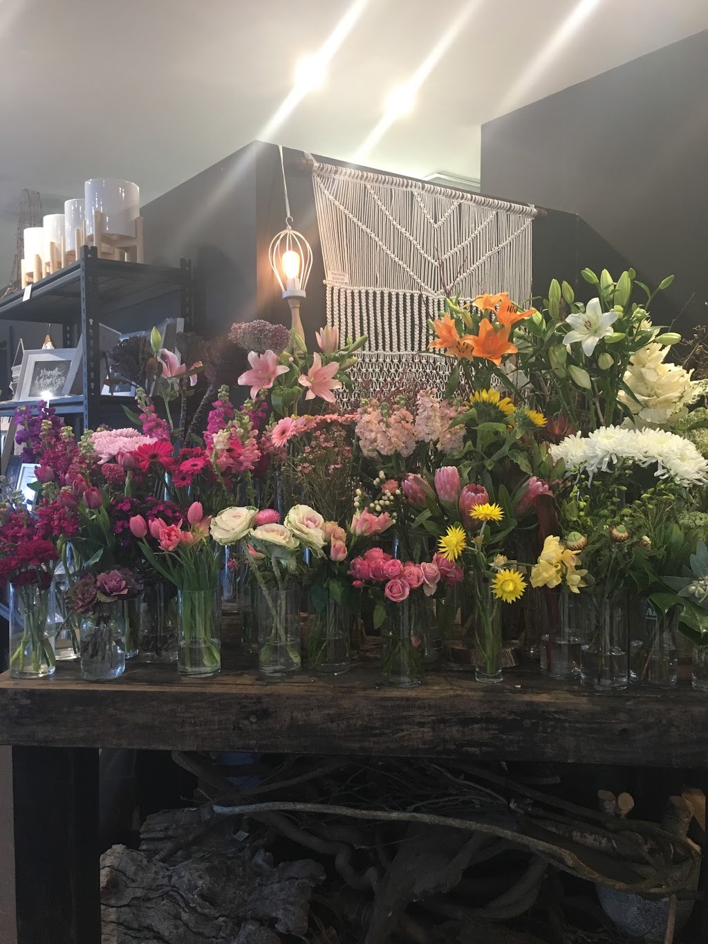 Flower Merchants Bella Vista | 3/1 Circa Blvd, Baulkham Hills NSW 2153, Australia | Phone: (02) 8824 7200