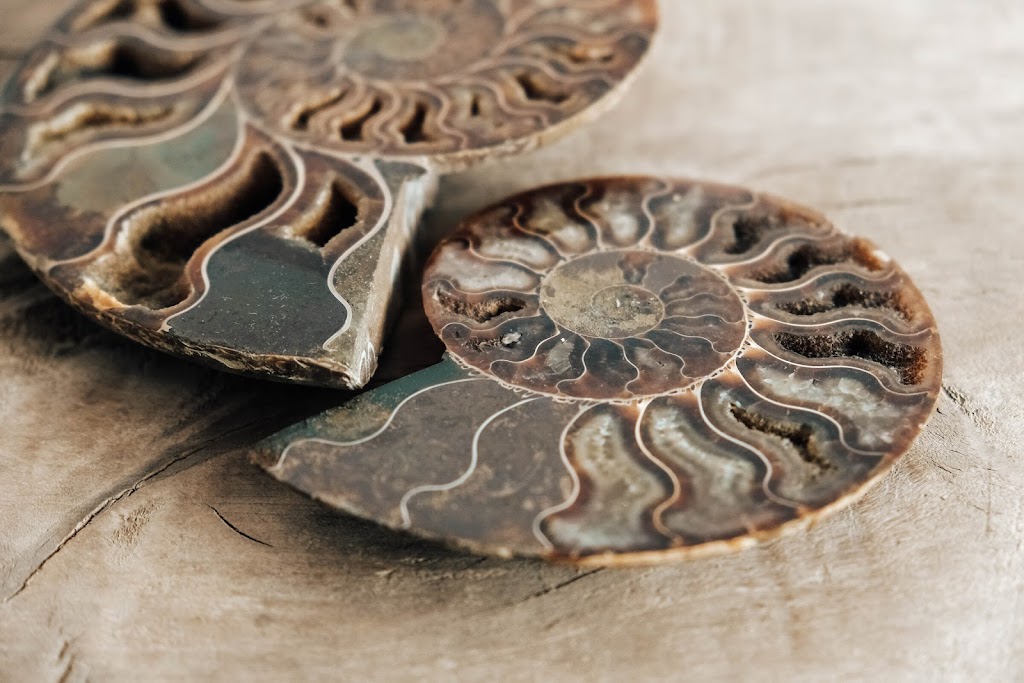 Campbelltown and Districts Lapidary Club Inc. | Lot 1 Bensley Rd, Macquarie Fields NSW 2564, Australia | Phone: (02) 9618 3206