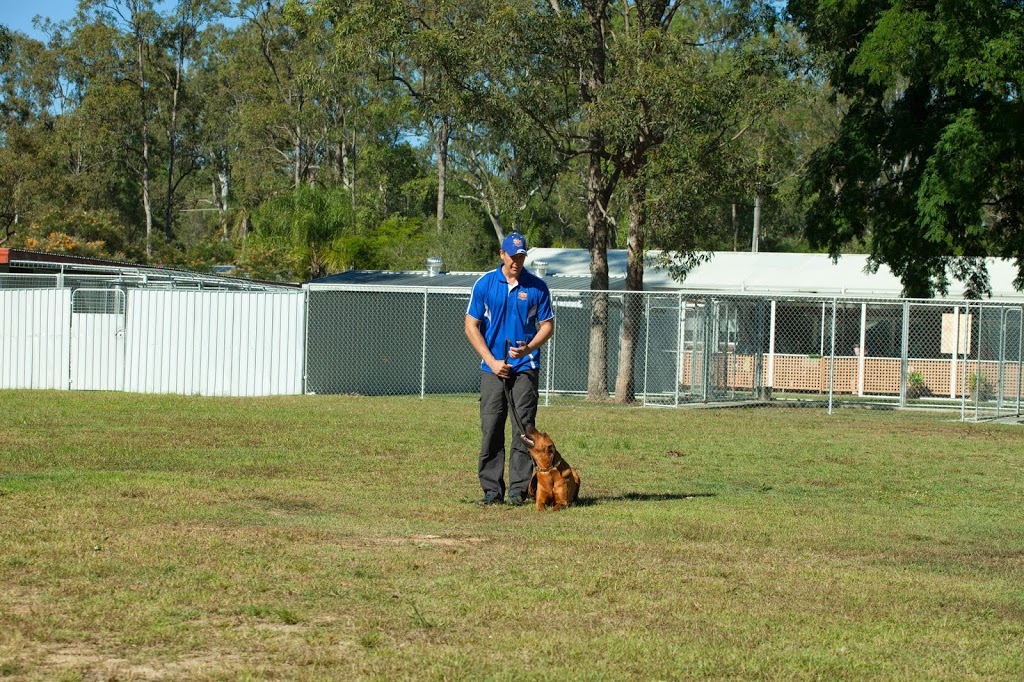 Excel Dog Training | 111 Attunga Rd, Greenbank QLD 4124, Australia | Phone: 0404 122 684