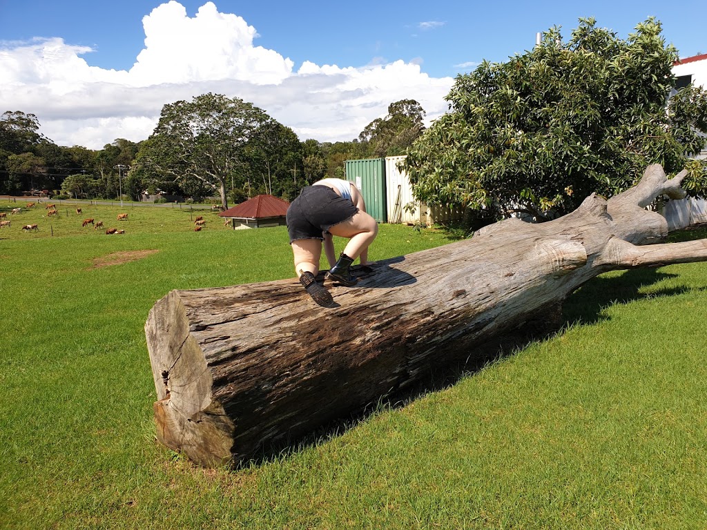 Maleny Dairies | tourist attraction | 70 McCarthy Rd, Maleny QLD 4552, Australia | 0754942392 OR +61 7 5494 2392