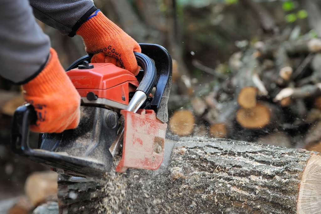 Charlie’s Tree Service | 731 Leslie Rd, Leslie Vale TAS 7054, Australia | Phone: 0428 246 211