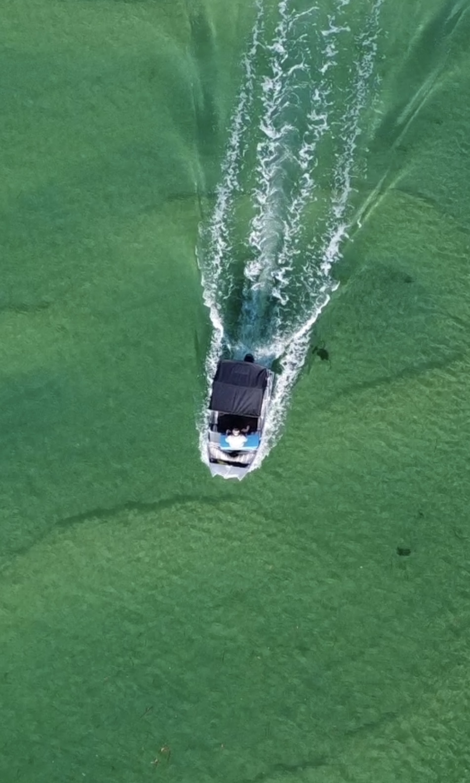 Sussex Inlet Boat Hire | 4 Flood Ave, Sussex Inlet NSW 2540, Australia | Phone: 0493 398 579