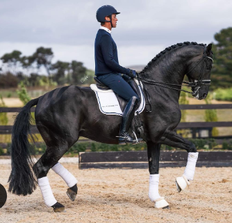 Salisbury Dressage | 2067 Three Chain Rd, Lancefield VIC 3435, Australia | Phone: 0417 859 086