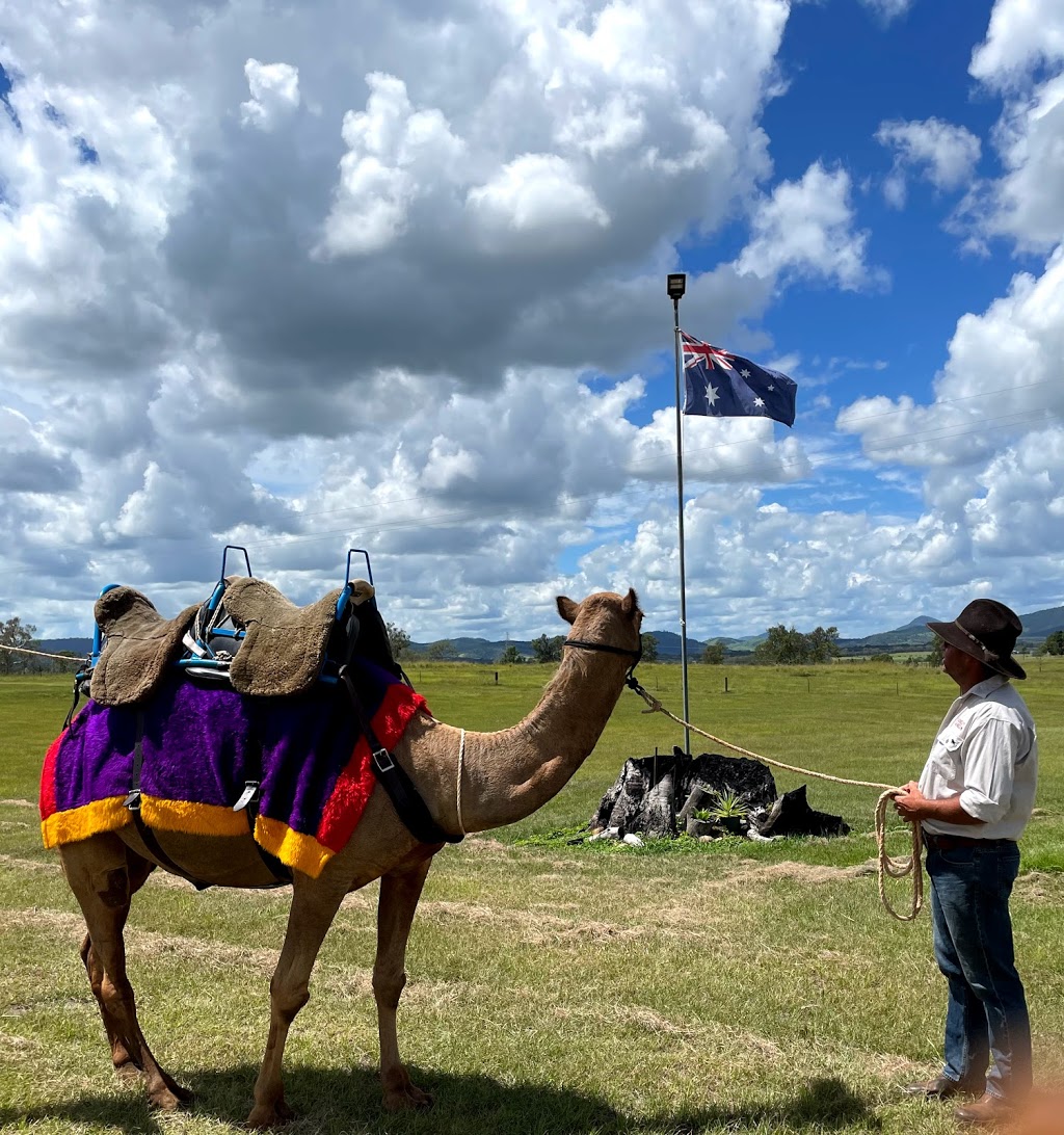 Camelot Camels | 36 Waugh Rd, Scrubby Creek QLD 4570, Australia | Phone: 0407 631 682