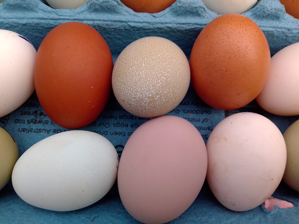 Coloured Eggs Australia | 92 Mount Buninyong Rd, Buninyong VIC 3335, Australia | Phone: 0434 069 638