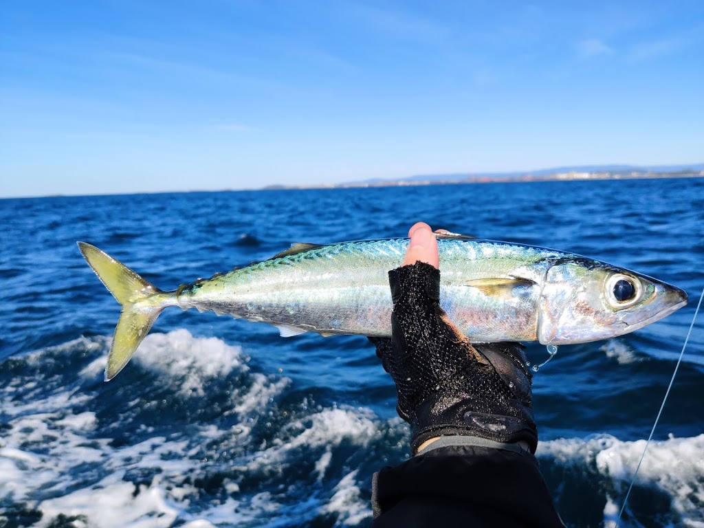 Krista Fishing Charters | Endeavour Drive, Wollongong Harbour, Wollongong NSW 2500, Australia | Phone: 0410 637 089