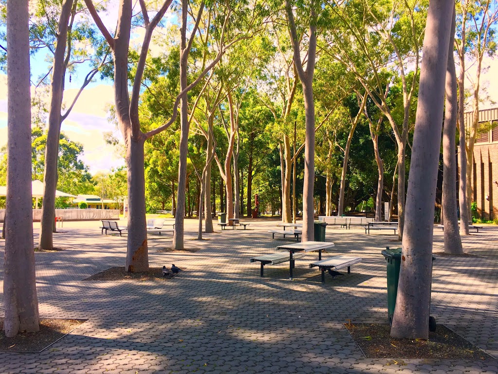 Macquarie University | university | Balaclava Rd, Macquarie Park NSW 2109, Australia | 0298507111 OR +61 2 9850 7111
