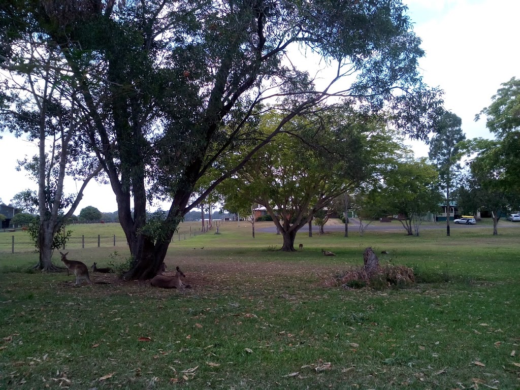 Mary Poppins Kangaroo réserve naturelle | Obrien St, Granville QLD 4650, Australia