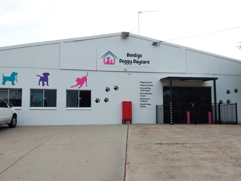 Bendigo Doggy Daycare | 19 Deborah St, Golden Square VIC 3555, Australia | Phone: 0484 919 177