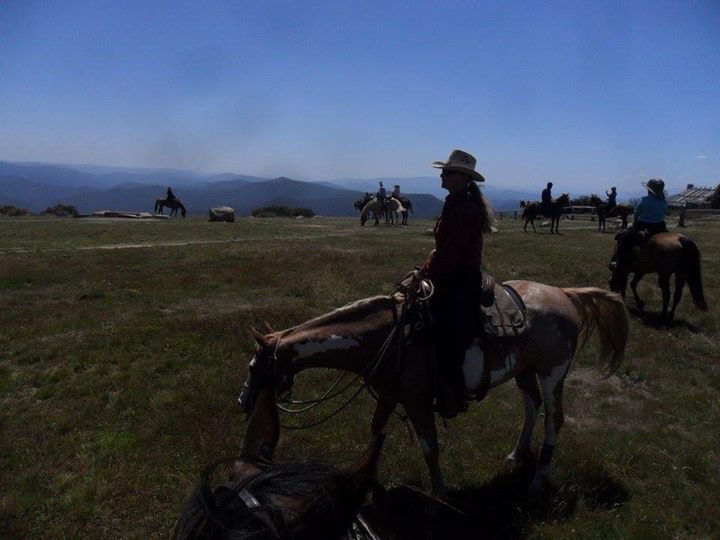 High Country Saddle Adventures | 11 Twin Creeks Rd, Pakenham Upper VIC 3810, Australia | Phone: 0418 333 186