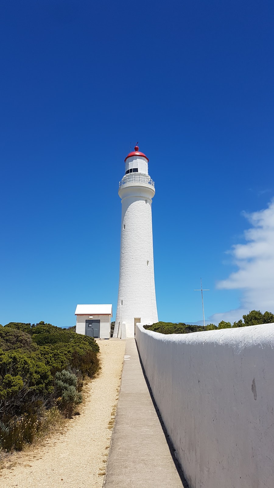 Cape Nelson State Park | Cape Nelson, Cape Nelson Rd, Portland West VIC 3305, Australia | Phone: 13 19 63