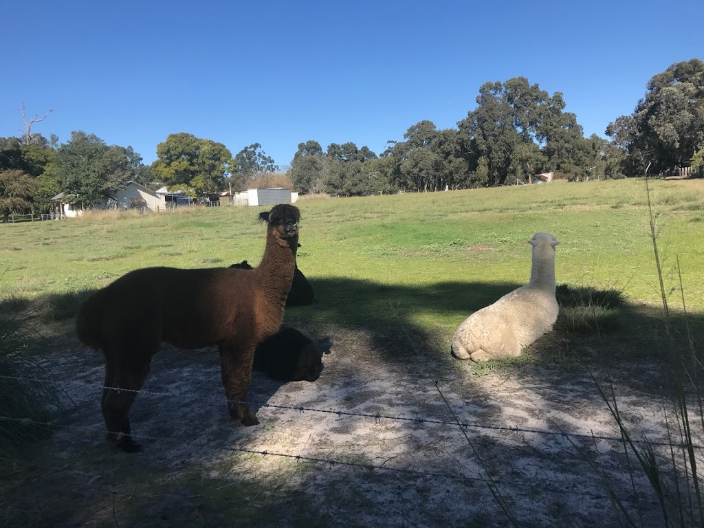 Henley Brook Produce | 127 John St, Henley Brook WA 6055, Australia | Phone: (08) 9296 4183