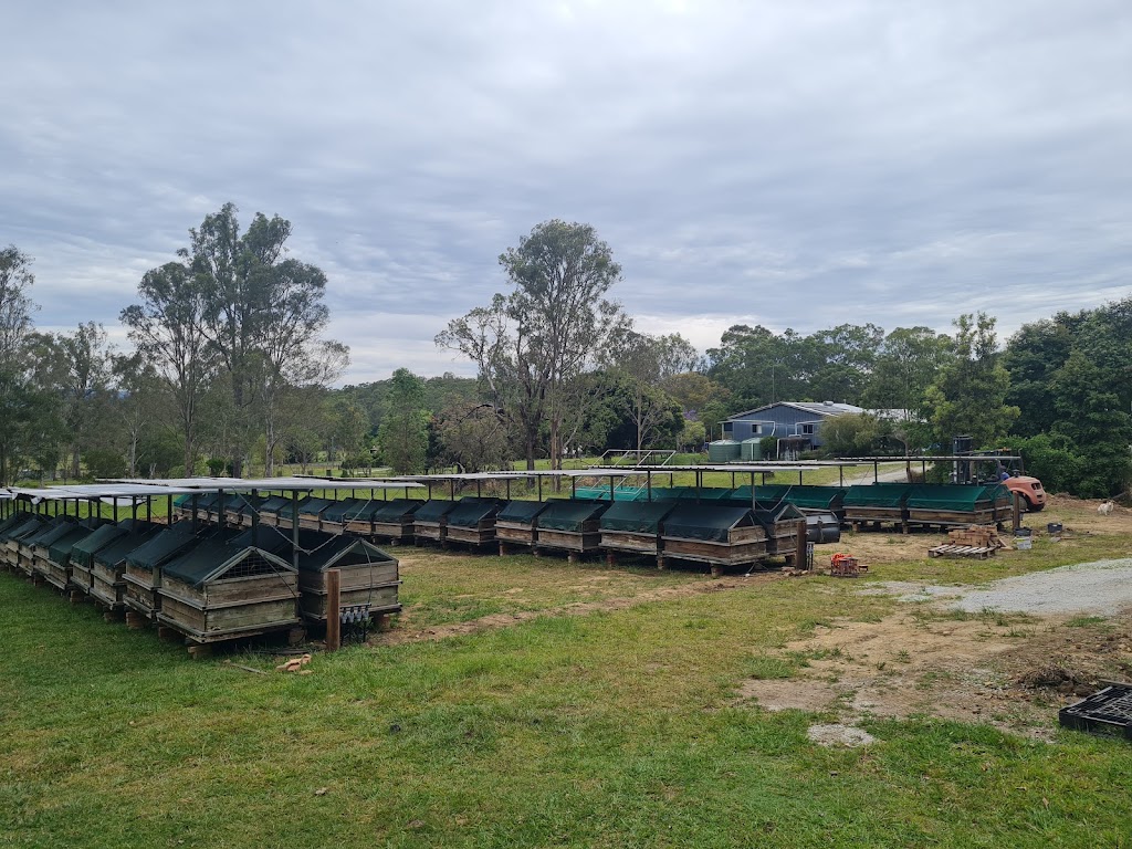 Rural Earthworms | 446 Stony Creek Rd, Stony Creek QLD 4514, Australia | Phone: 0415 058 618