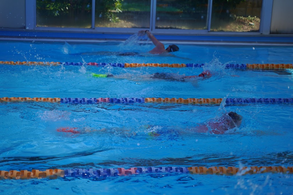 Narrabeen Swim Academy | Wakehurst Pkwy, Narrabeen NSW 2101, Australia | Phone: 0466 107 802