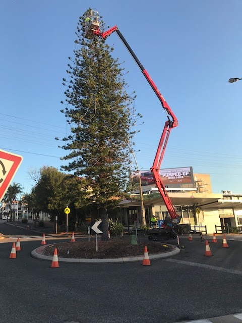 Boyne Island Tree Services | 1 Ronpen Cl, Tannum Sands QLD 4680, Australia | Phone: 0427 777 652