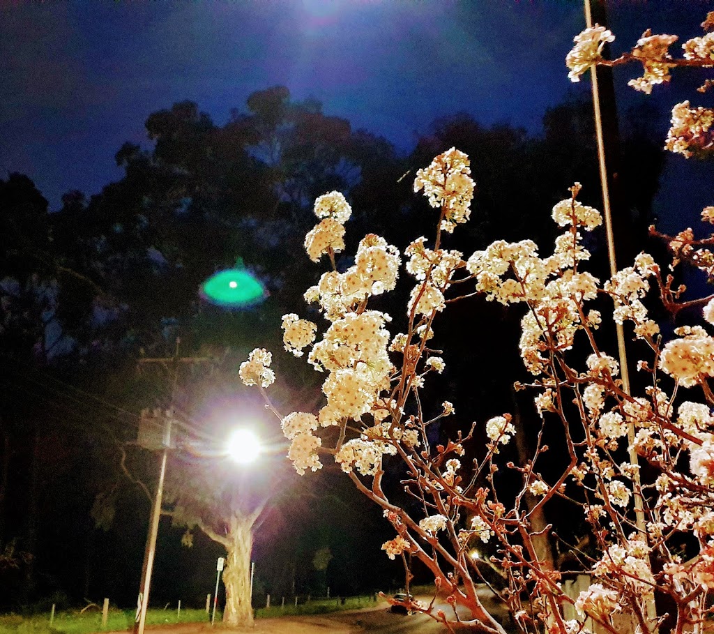Lights of Ferguson | Stonyfell SA 5066, Australia