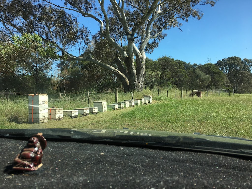Sleepy Hollow Honey, Coleraine |  | 106 Pilleau St, Coleraine VIC 3315, Australia | 0400876560 OR +61 400 876 560