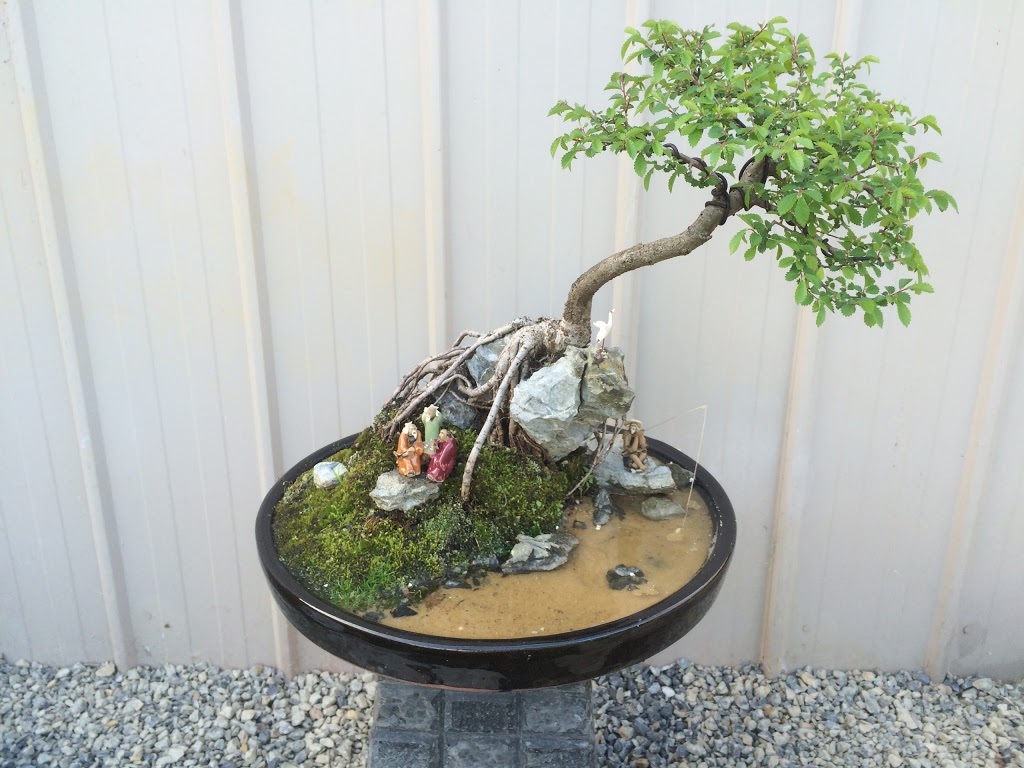 Penjing Bonsai | general contractor | 4 Piedmont Cl, Endeavour Hills VIC 3802, Australia | 0470528160 OR +61 470 528 160