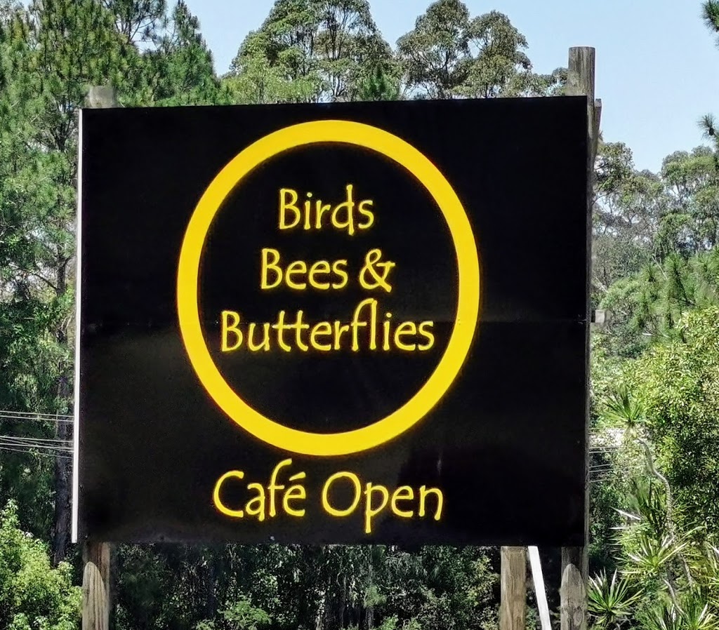 Birds bees butterflies | cafe | 1381 Eumundi Noosa Rd, Eumundi QLD 4562, Australia