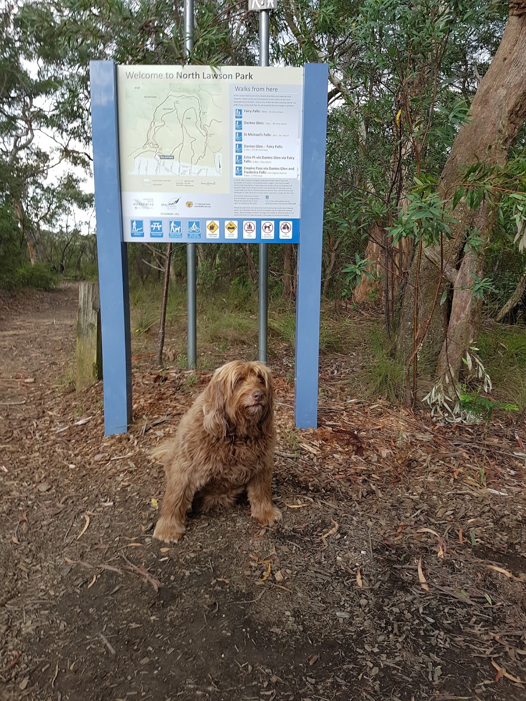 Dantes Glen Walking Track | park | 49 Sayers St, Lawson NSW 2783, Australia