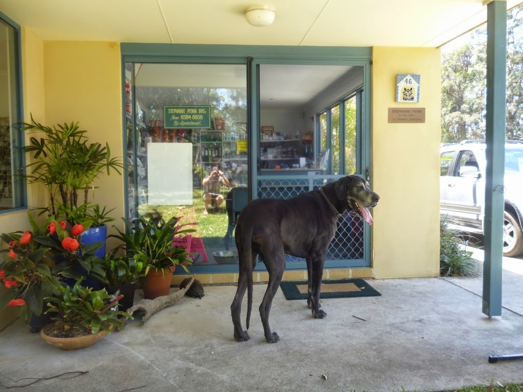 Bonny Hills Veterinary Clinic | veterinary care | 46 Beach St, Bonny Hills NSW 2445, Australia | 0265848808 OR +61 2 6584 8808