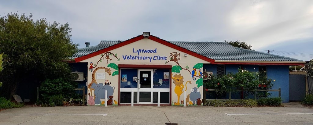 Lynwood Veterinary Clinic | veterinary care | 568 Metcalfe Rd, Ferndale WA 6148, Australia | 0894513575 OR +61 8 9451 3575