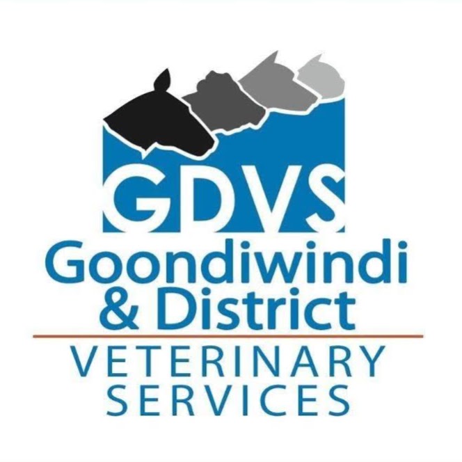 Goondiwindi & District Veterinary Services Horse Unit | 41 Glasser St, Goondiwindi QLD 4390, Australia | Phone: (07) 4671 3405