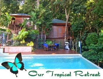 Cairns Reef and Rainforest B&B - Pavillions in the Rainforest | lodging | 176 Sydney Cl, Bayview Heights QLD 4868, Australia | 0417771291 OR +61 417 771 291