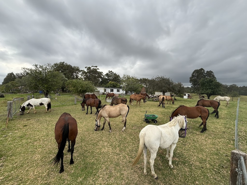 Lancaster’s Horse Rides | Lancaster Rd, Swan Reach VIC 3903, Australia | Phone: 0458 211 123