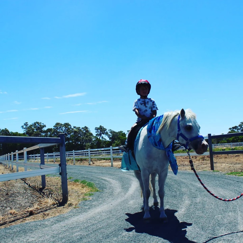 Fantasy Party ponies | 88 Genoli Rd, Quindalup WA 6281, Australia | Phone: 0417 937 637