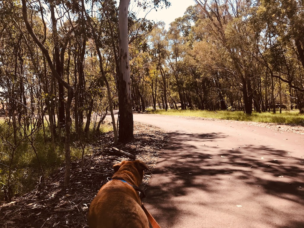 Kadina Trail (bush walking track) | park | 20 Brookhill Grove, Bushmead WA 6055, Australia