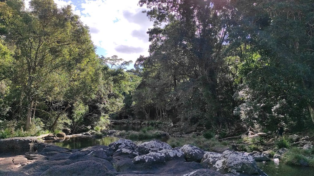 Whian Whian Falls Recreational Area | 112 Whian Whian Rd, Dunoon NSW 2480, Australia