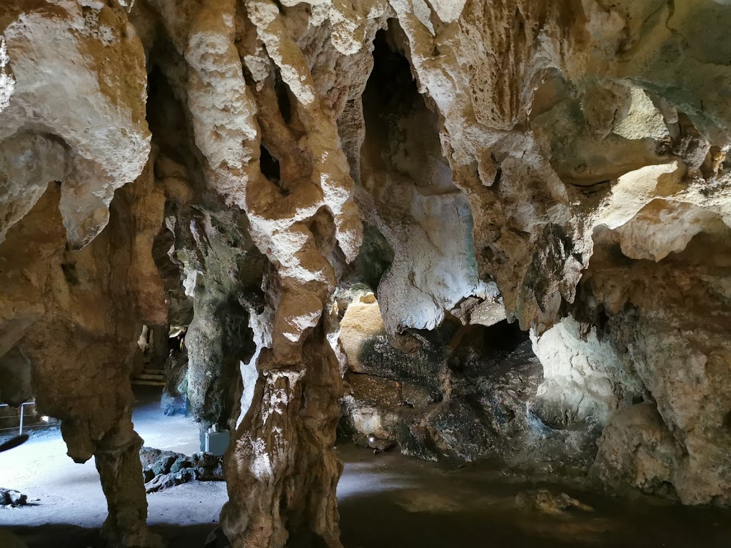 Naracoorte Caves - Wonambi Fossil Centre | tourist attraction | Joanna SA 5271, Australia | 0887622340 OR +61 8 8762 2340
