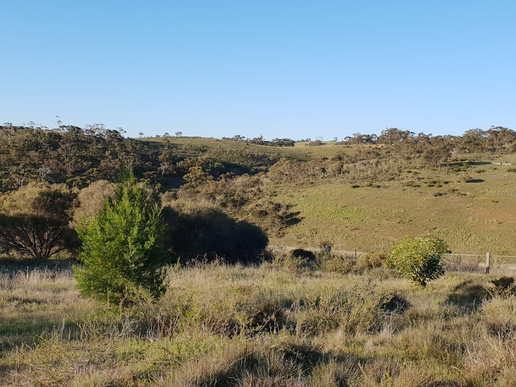 Brooks lookout | 96 Old Blyth Rd Boconnoc Park Old Blyth Rd, Boconnoc Park SA 5453, Australia