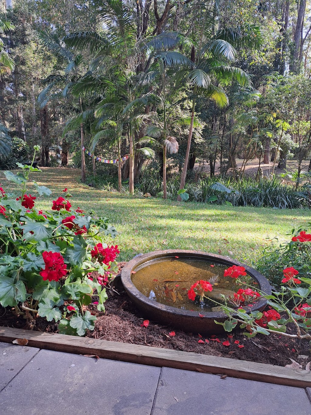 Yoga with Laura | 24 Figtree Dr, Diamond Beach NSW 2430, Australia | Phone: 0404 866 089