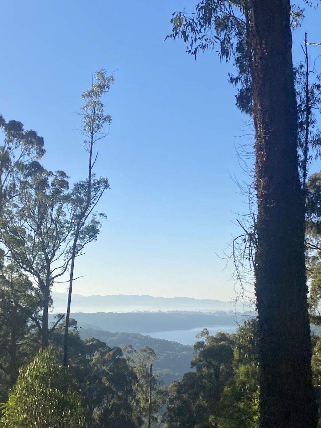 Channel 10 Downhill Mountain Bike Track | Burkes Lookout Reserve, 9 Eyre Rd, Mount Dandenong VIC 3767, Australia | Phone: 0490 893 000