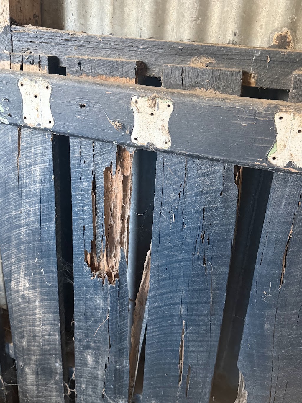 Ultimate pest solutions & property maintenance | 150 River Rd, Kialla VIC 3631, Australia | Phone: 0490 433 357