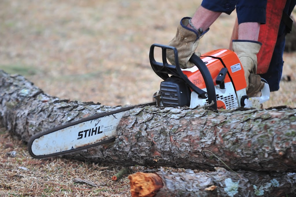 Chris Hackett Tree Services | 17 Bentinck St, Ballina NSW 2478, Australia | Phone: (02) 6686 0599