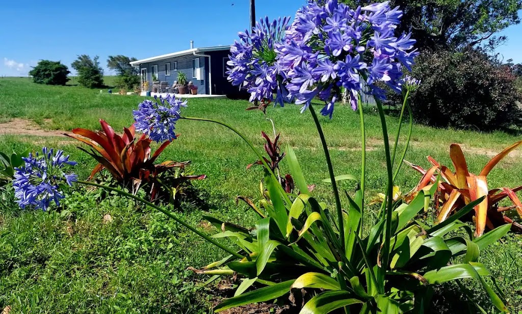 Wild Platypus Stays | 8 Chelmer St, Eungella QLD 4757, Australia | Phone: 0429 181 017