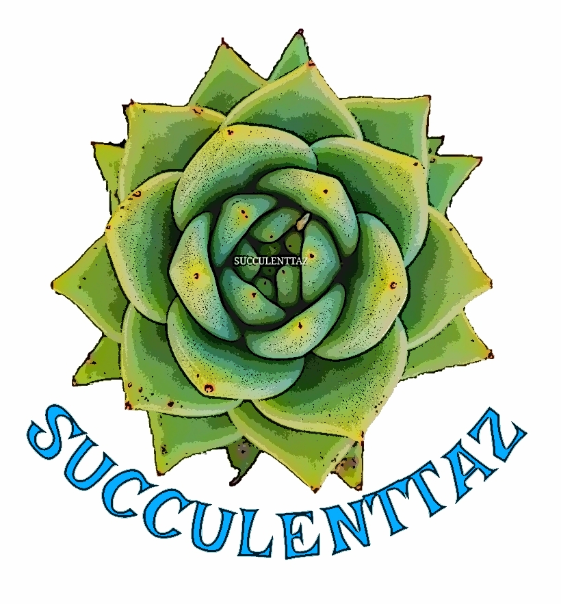 SUCCULENTTAZ | 34 Gatehouse Dr, Sorell TAS 7172, Australia | Phone: 0438 138 554