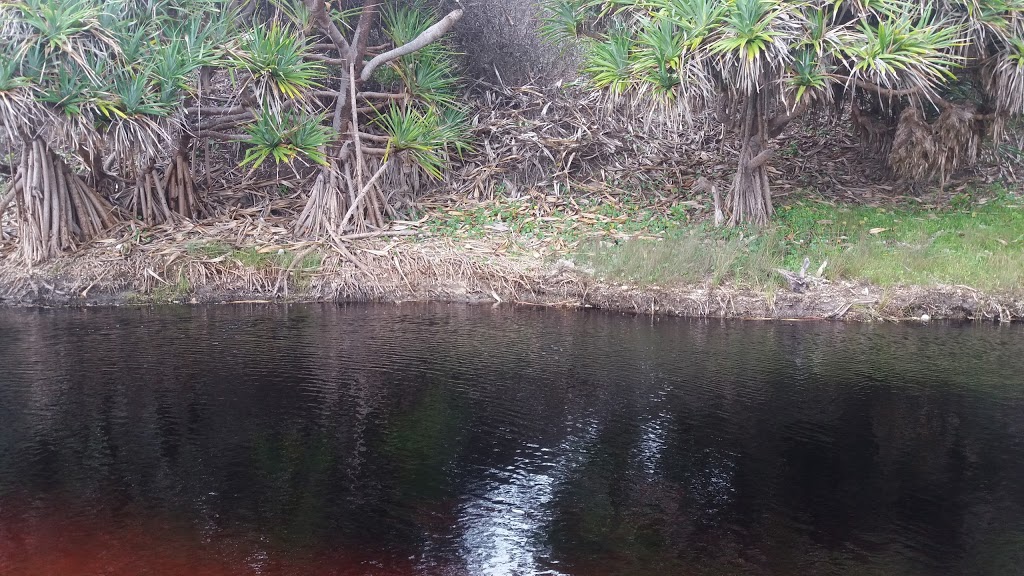 Shelley Head campground | Shelley Track S, Yuraygir NSW 2464, Australia | Phone: (02) 6641 1500