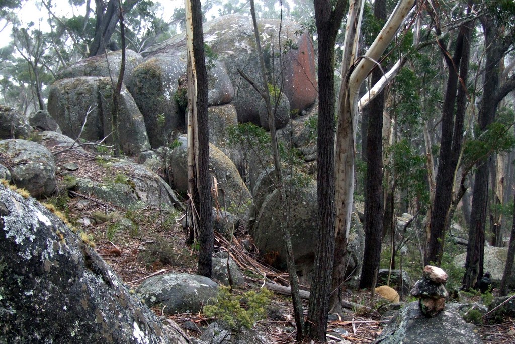 Pheasants Peak walking track | park | Waratah Rd, Paddys Flat NSW 2632, Australia | 0264585900 OR +61 2 6458 5900