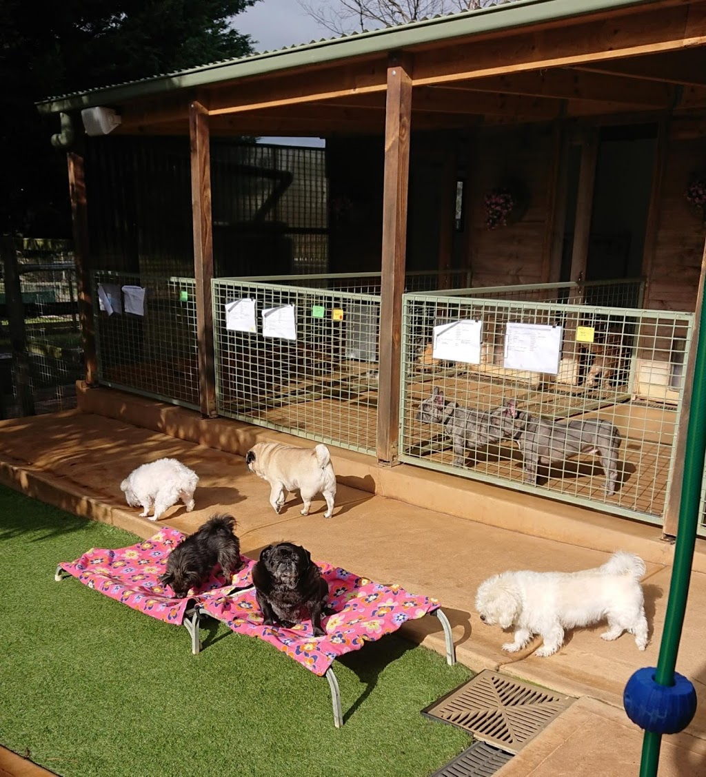 Mornington Lodge Kennels | 1061 Moorooduc Hwy, Moorooduc VIC 3933, Australia | Phone: 0429 274 156