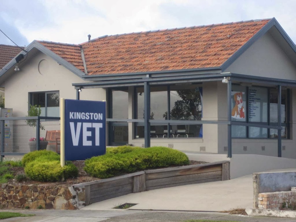Kingston Veterinary Hospital | veterinary care | 32 Lower Dandenong Rd, Mentone VIC 3194, Australia | 0395847500 OR +61 3 9584 7500