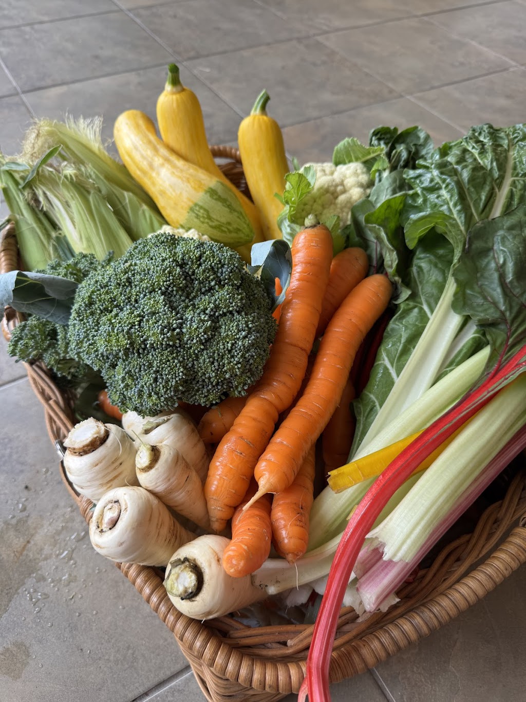 Arteka Farming | 65A Kannenbergs Rd, Hamilton VIC 3300, Australia | Phone: 0459 485 776 Arteka Farming | 65A Kannenbergs Rd, Hamilton VIC 3300, Australia | Phone: 0459 485 776